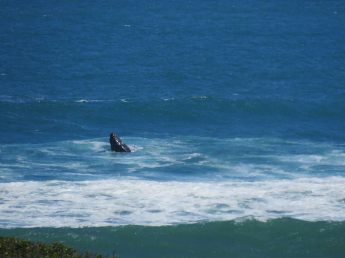 Troon Beach Cottage Hermanus Kültér fotó