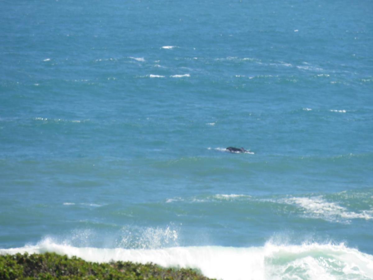 Troon Beach Cottage Hermanus Kültér fotó