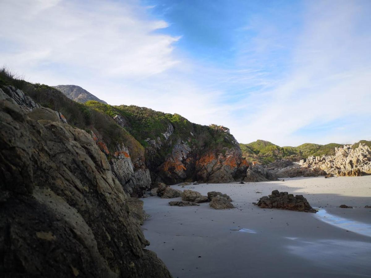 Troon Beach Cottage Hermanus Kültér fotó