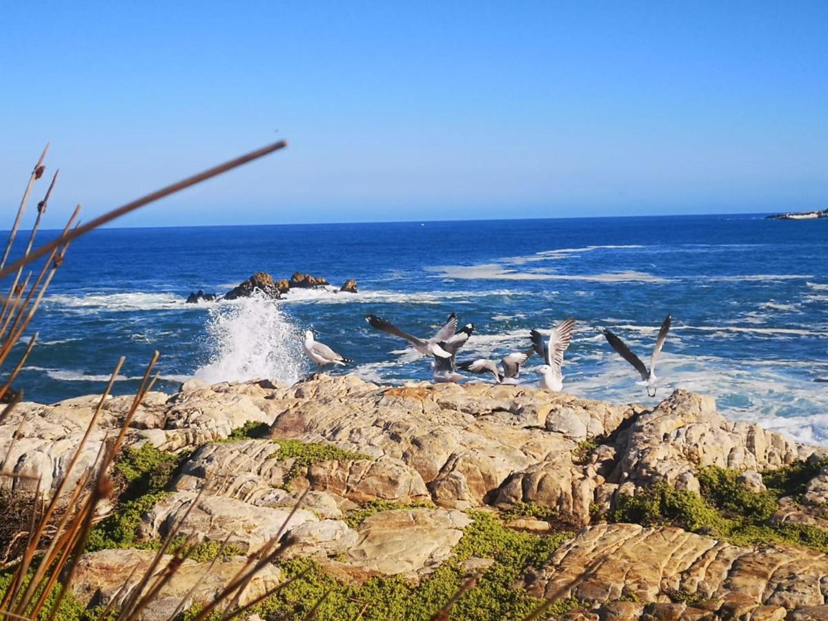 Troon Beach Cottage Hermanus Kültér fotó
