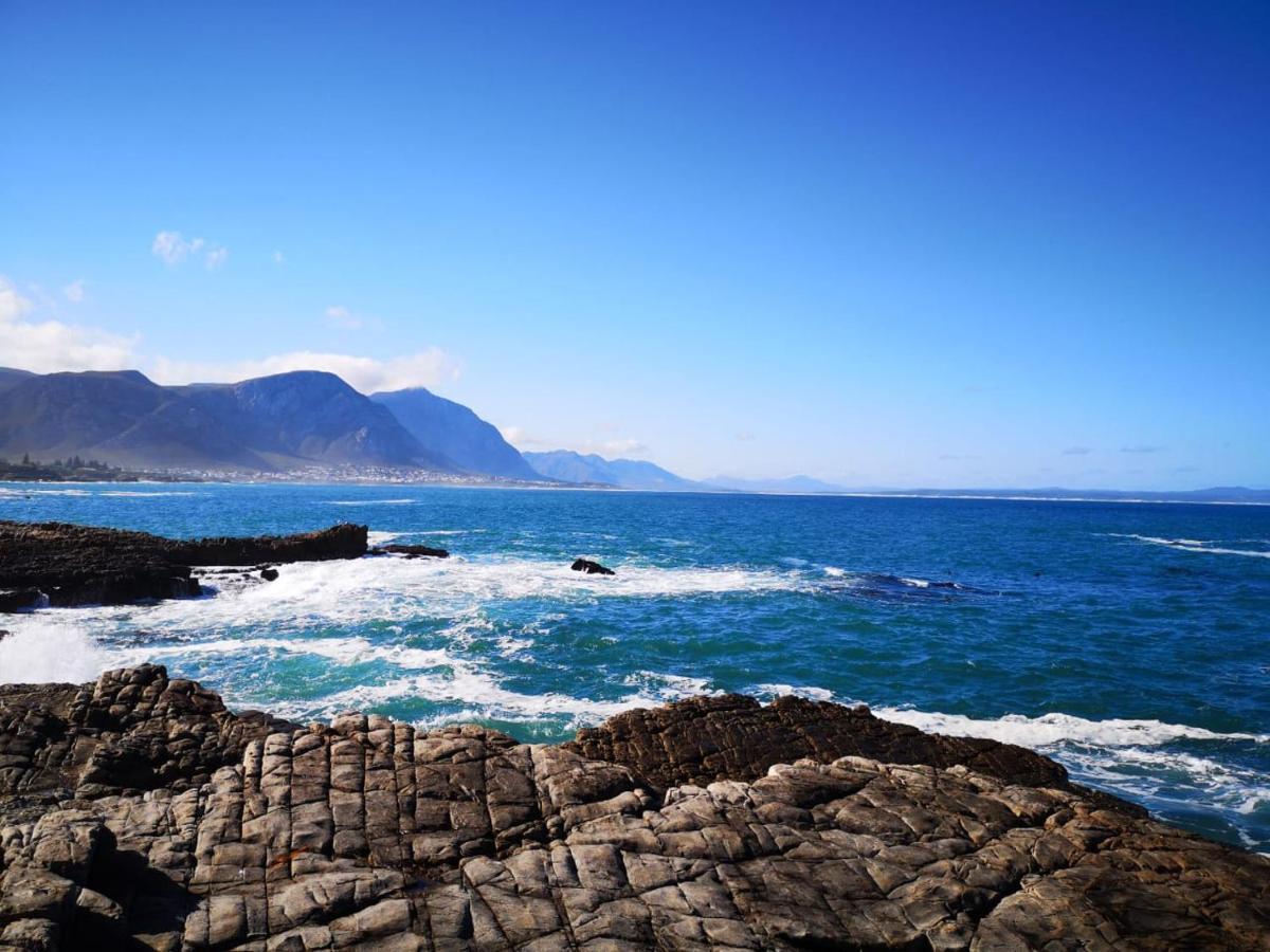 Troon Beach Cottage Hermanus Kültér fotó